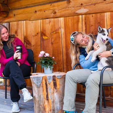 Jotunheimen Husky Lodge Randsverk エクステリア 写真