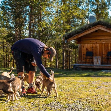Jotunheimen Husky Lodge Randsverk エクステリア 写真