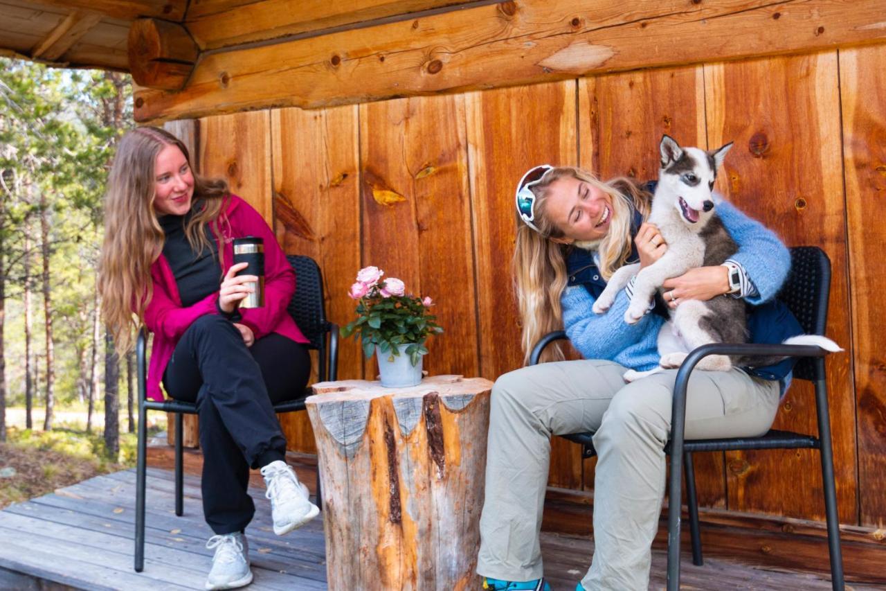 Jotunheimen Husky Lodge Randsverk エクステリア 写真