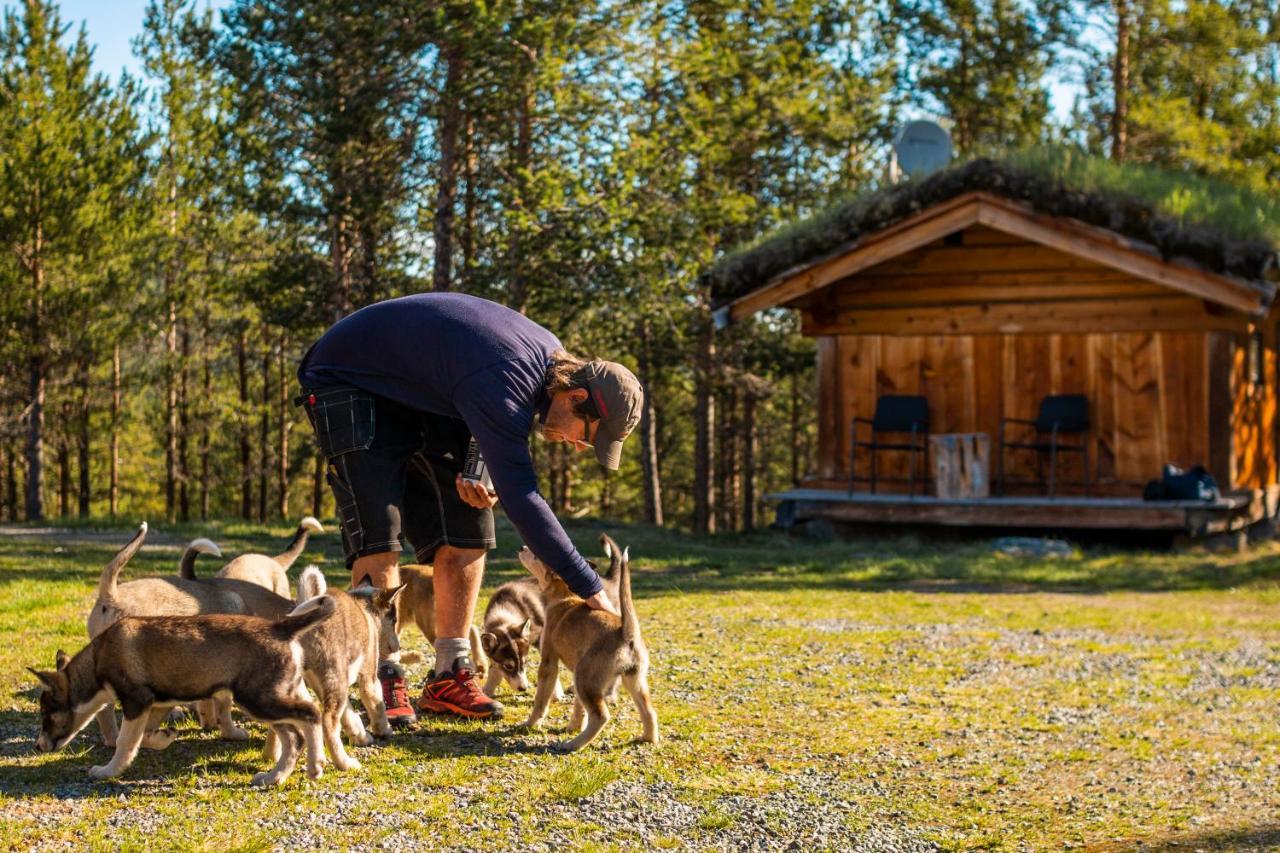 Jotunheimen Husky Lodge Randsverk エクステリア 写真