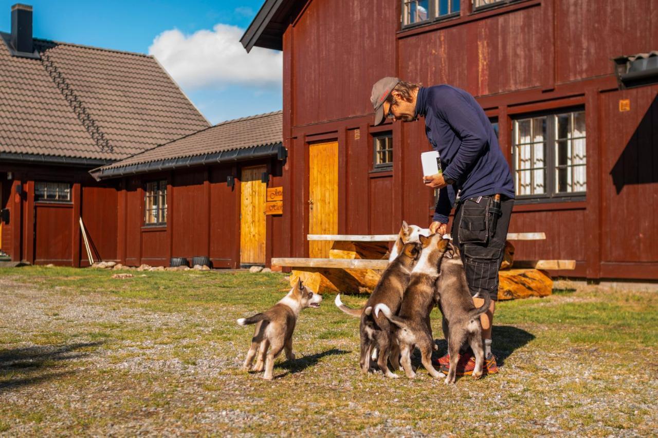Jotunheimen Husky Lodge Randsverk エクステリア 写真