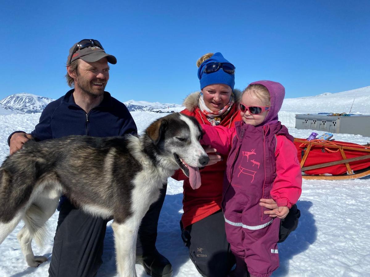 Jotunheimen Husky Lodge Randsverk エクステリア 写真